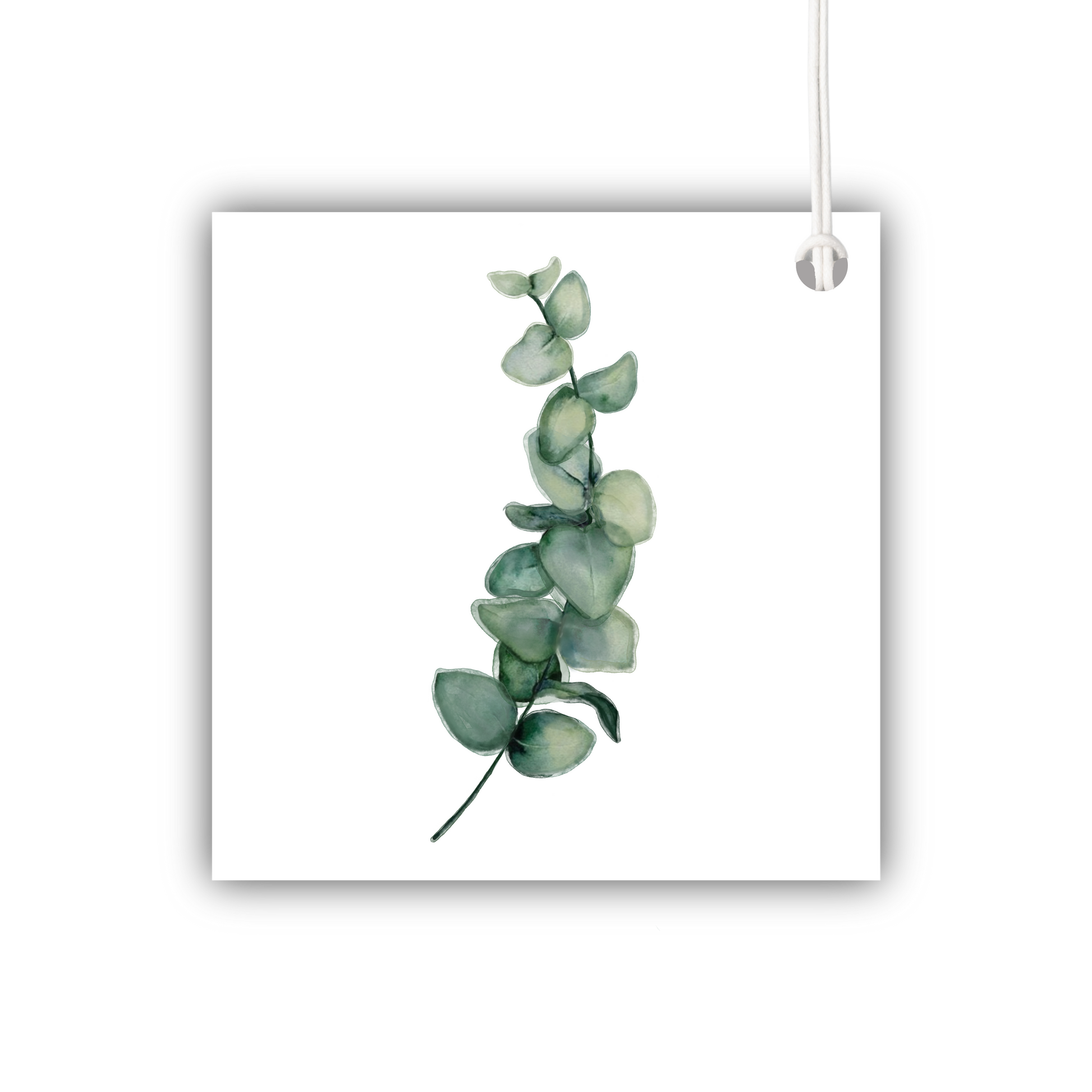 Eucalyptus Gift Tag