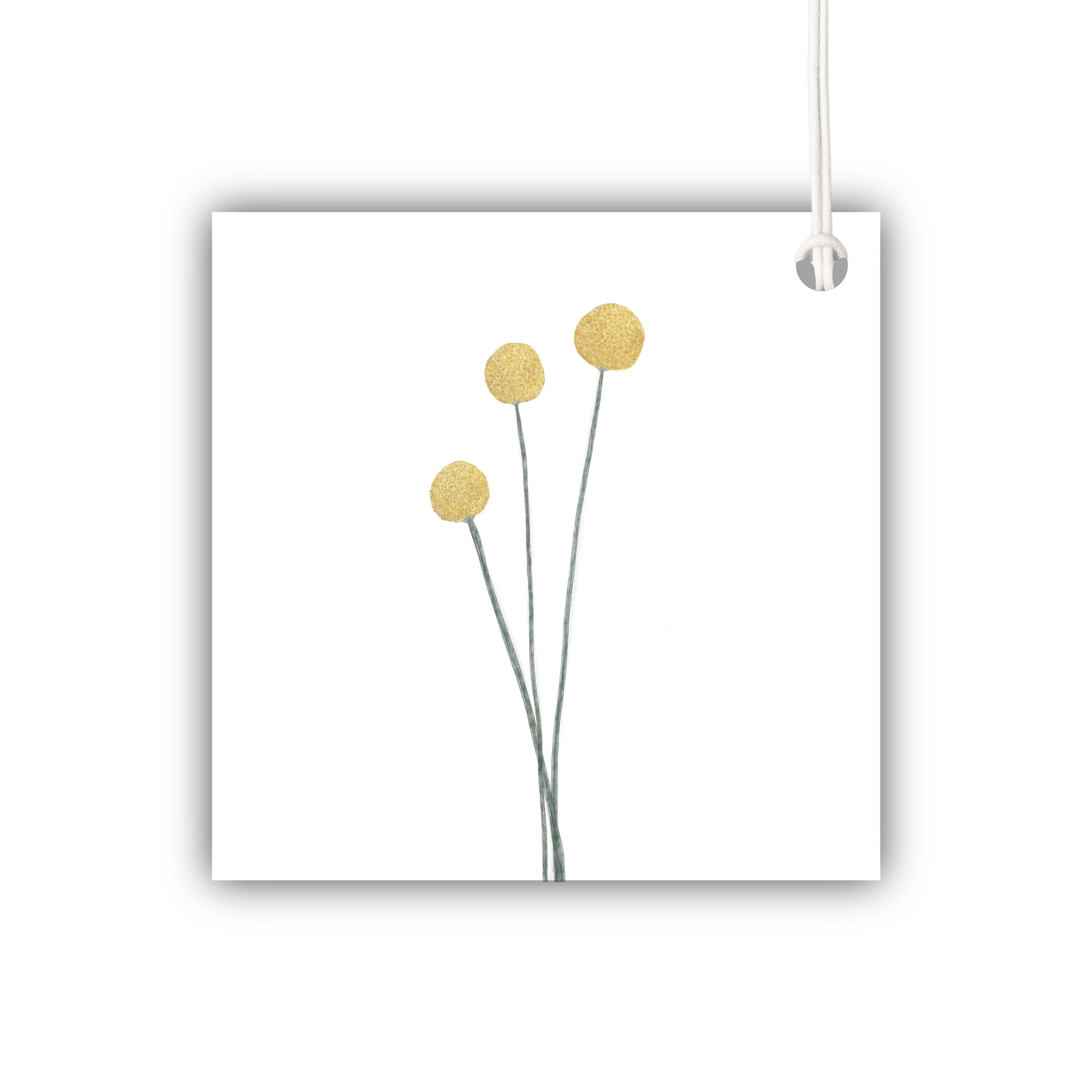 Billy Buttons Gift Tag