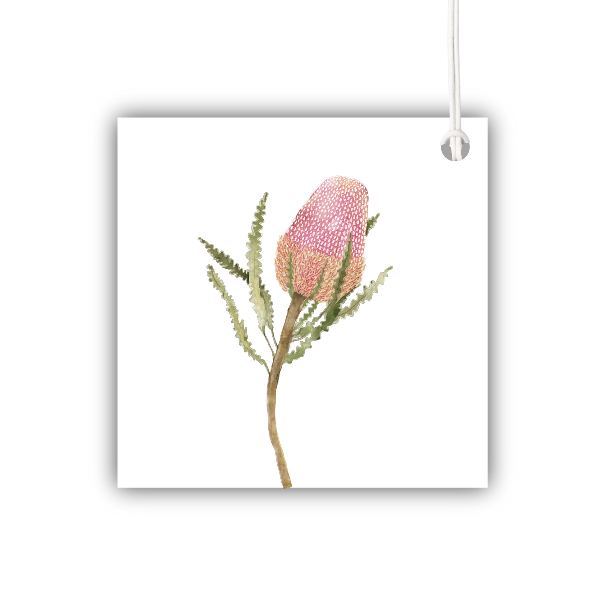 Pink Banksia Gift Tag