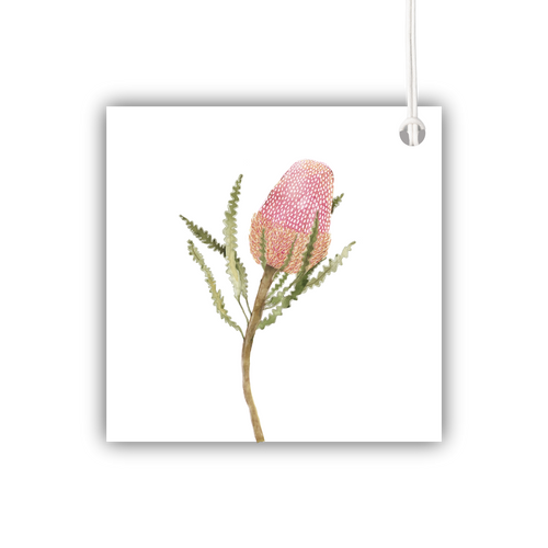 Banksia Menziesii Gift Tag