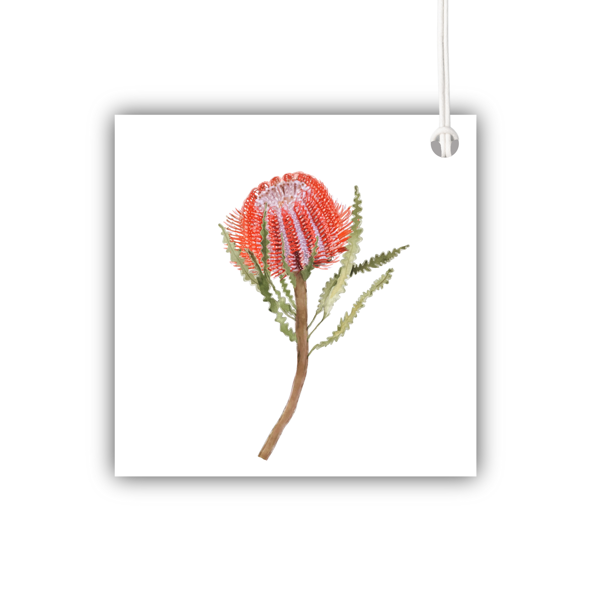 Red Banksia Gift Tag