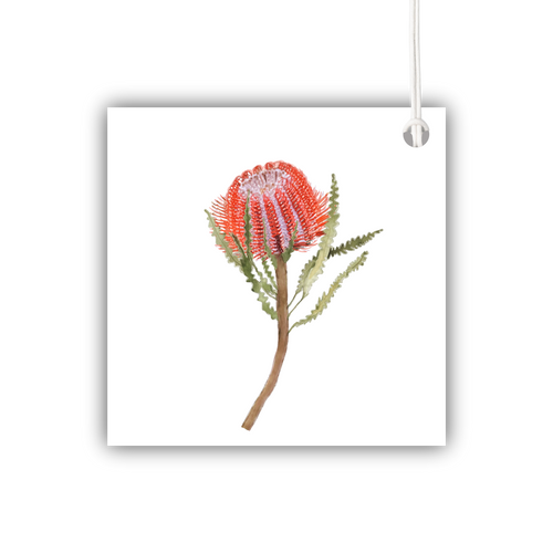 Banksia Coccinea Gift Tag
