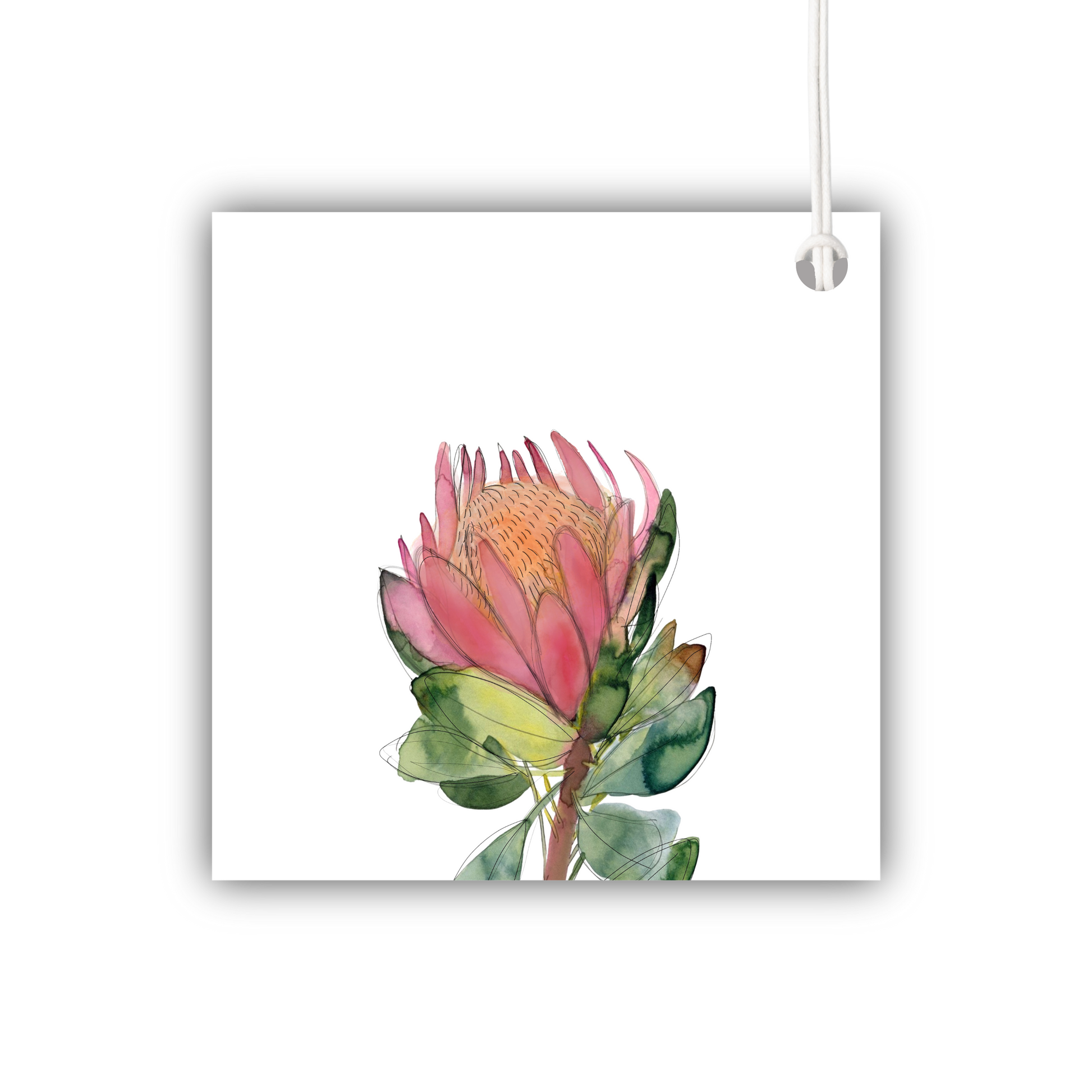 Protea Gift Tag