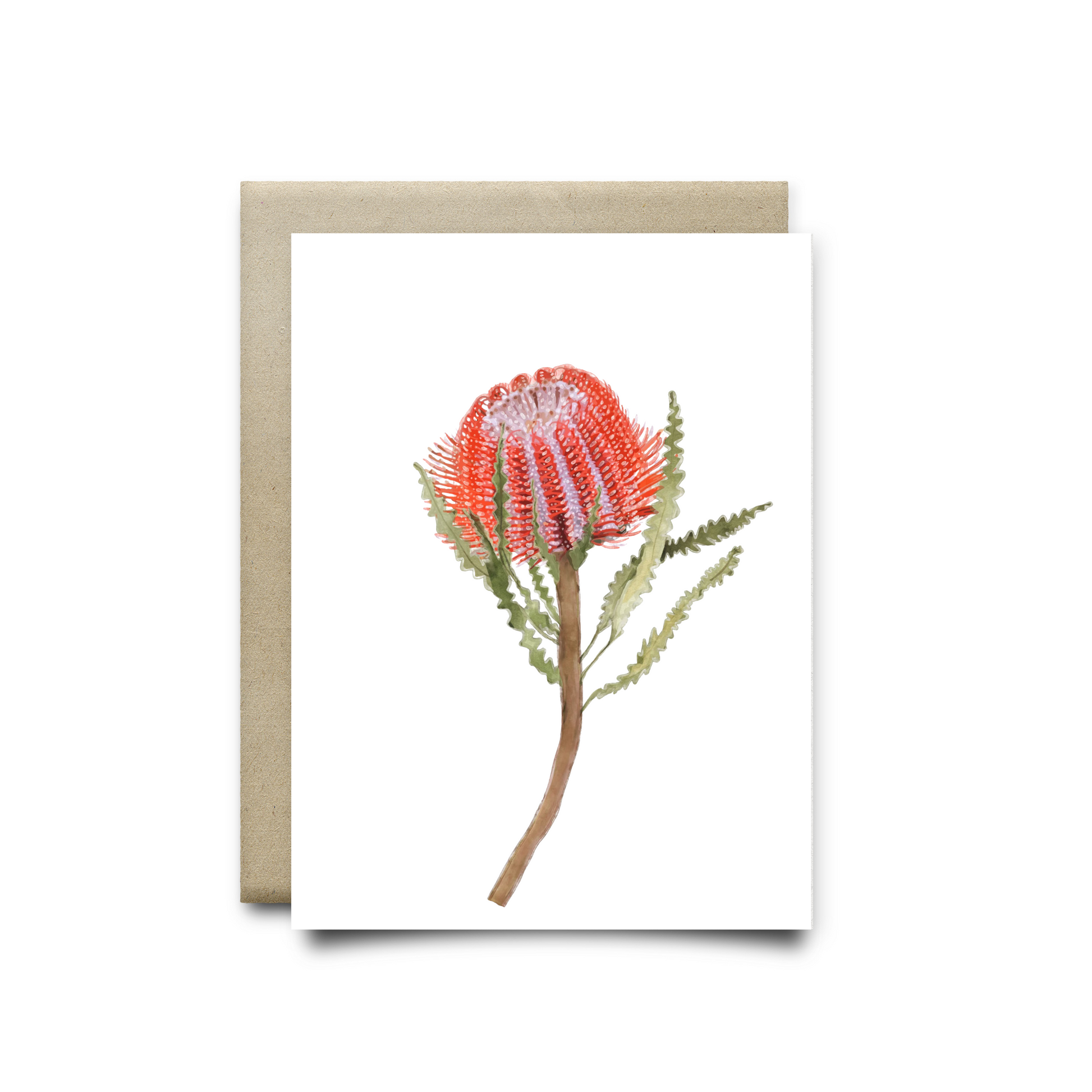 Banksia Coccinea Greeting Card