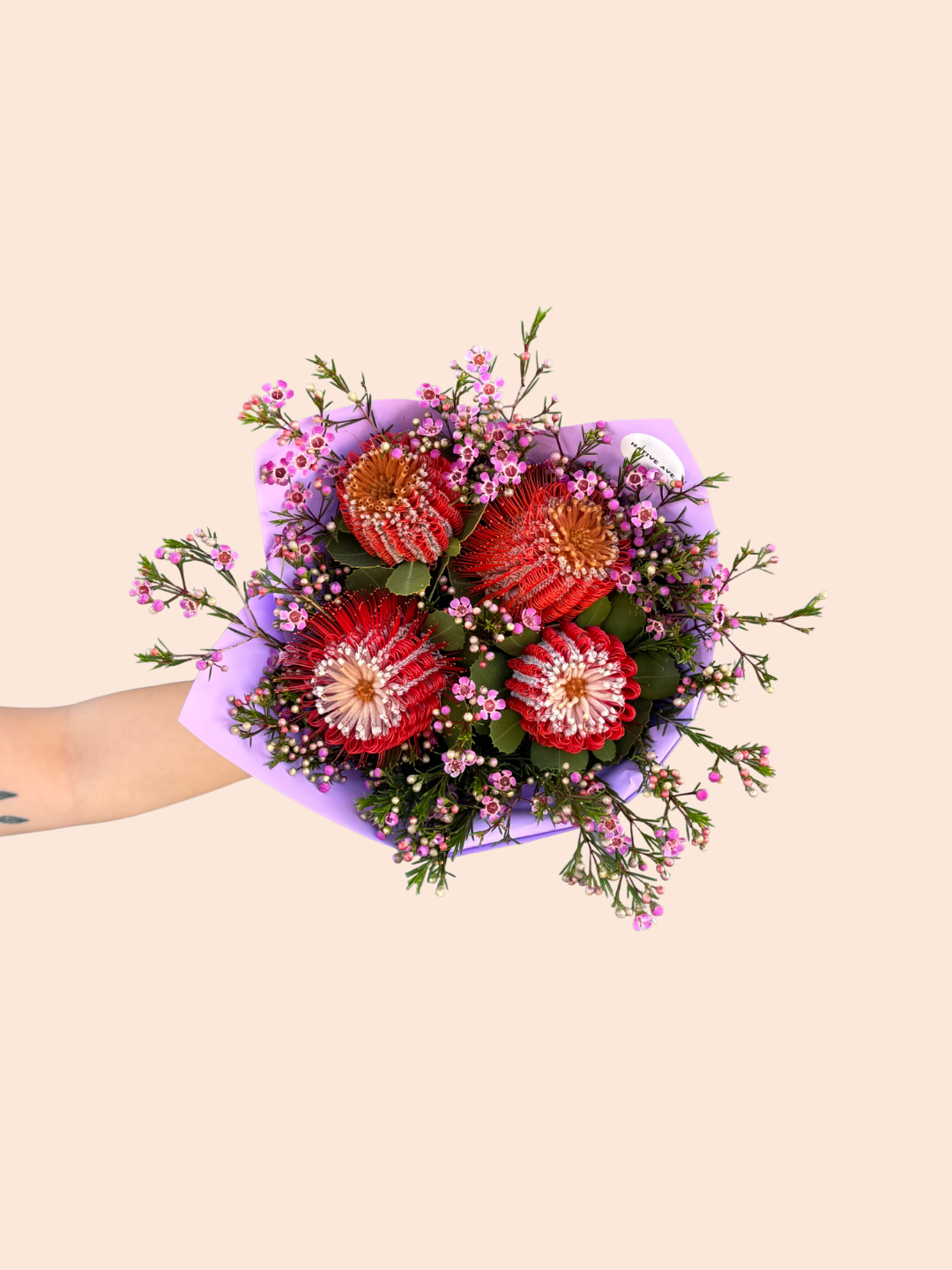 Banksia Bunch
