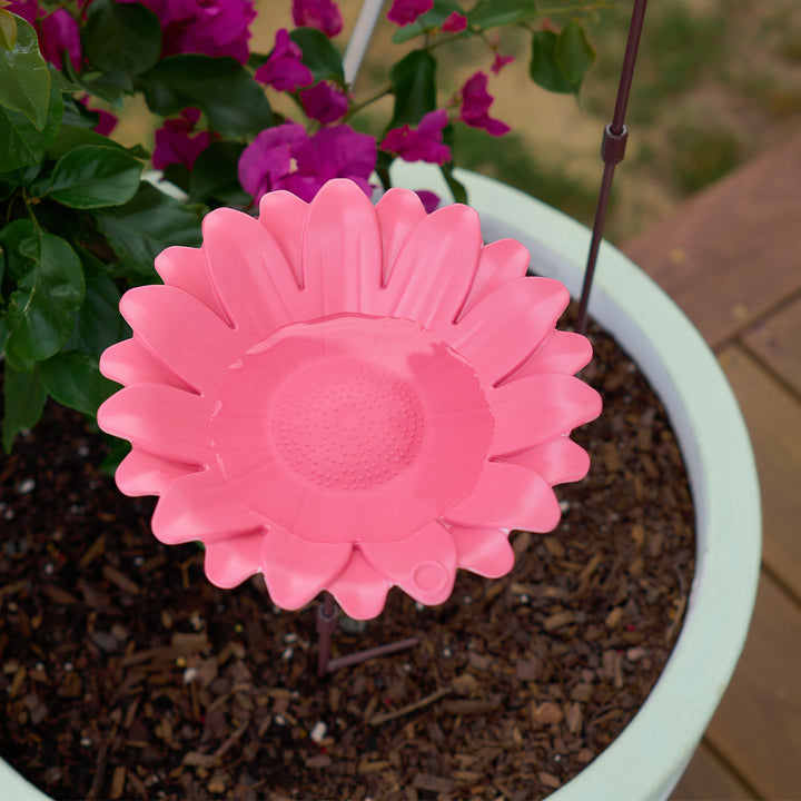 Bamboo Bird Bath - Sunflower