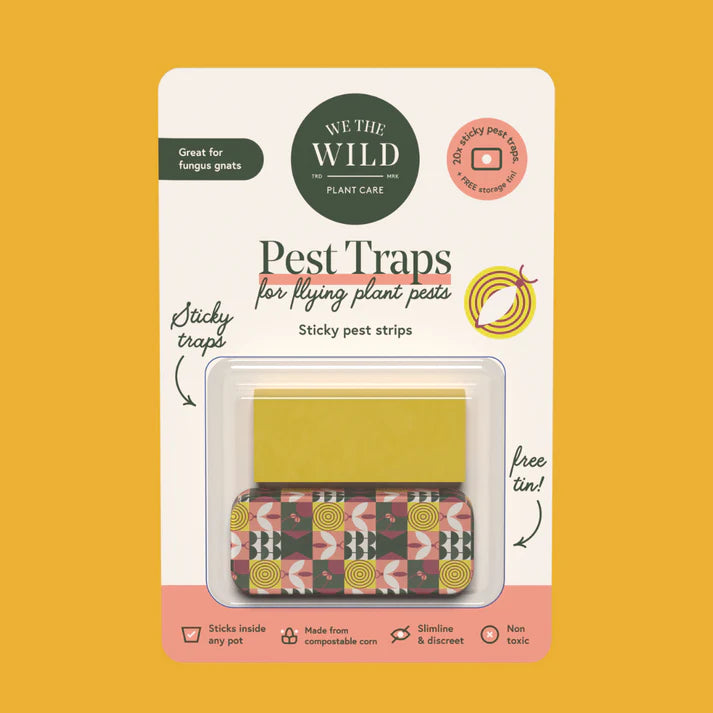 Compostable Gnat Traps 12 Pack