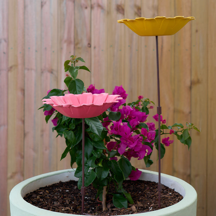 Bamboo Bird Bath - Sunflower
