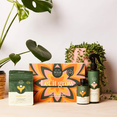 Let It Grow Essential Plant Care Kit