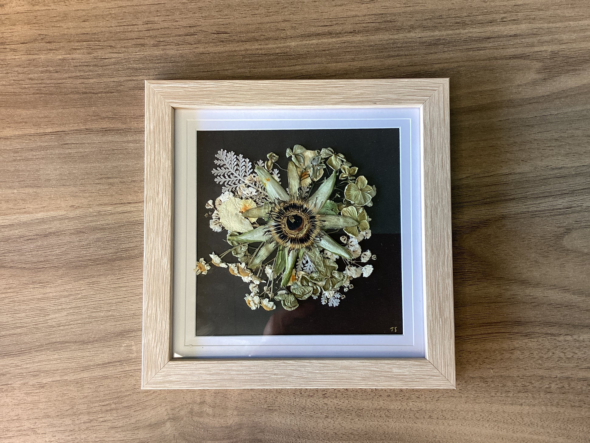 Pressed flower frames