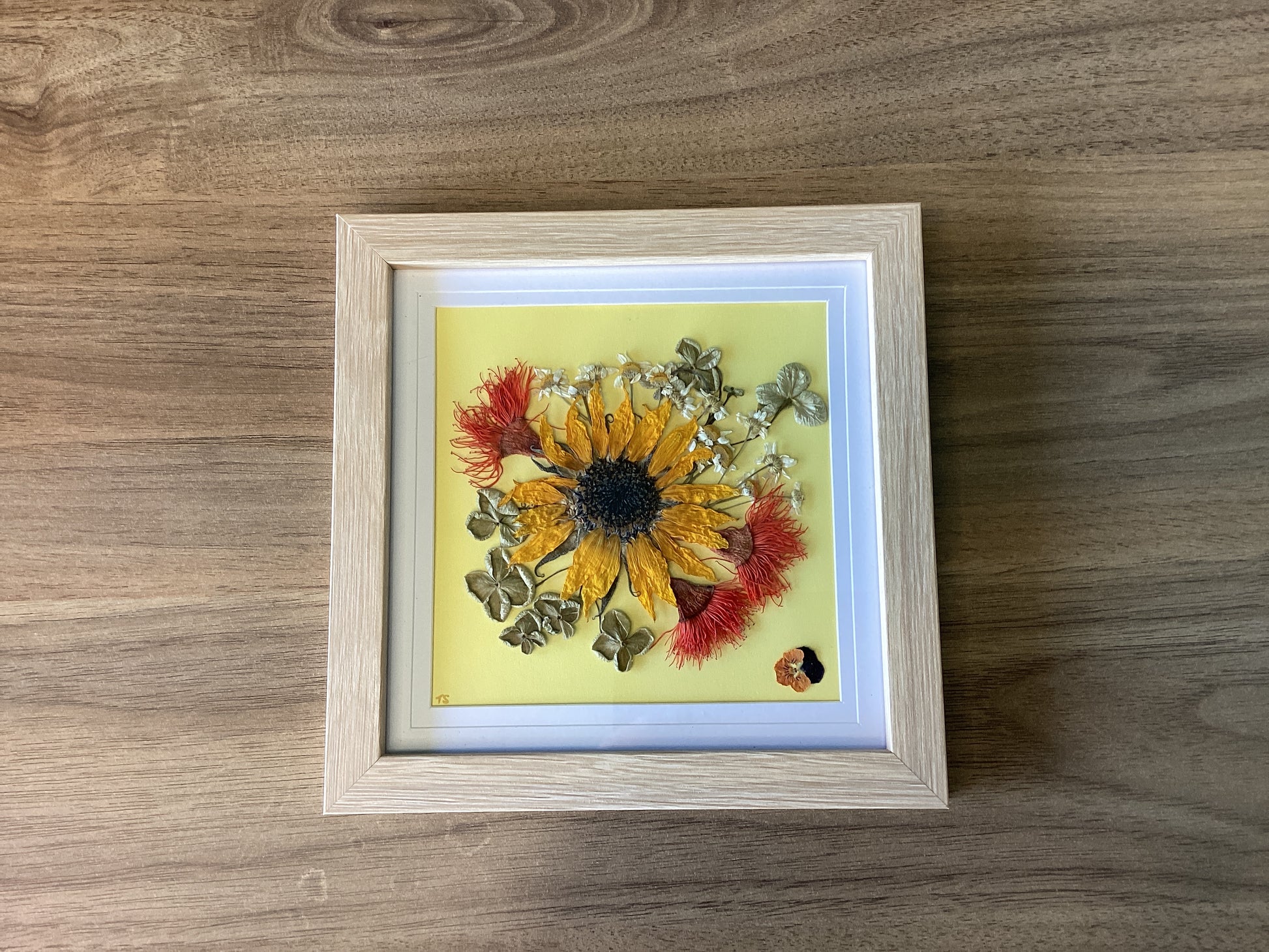 Pressed flower frames