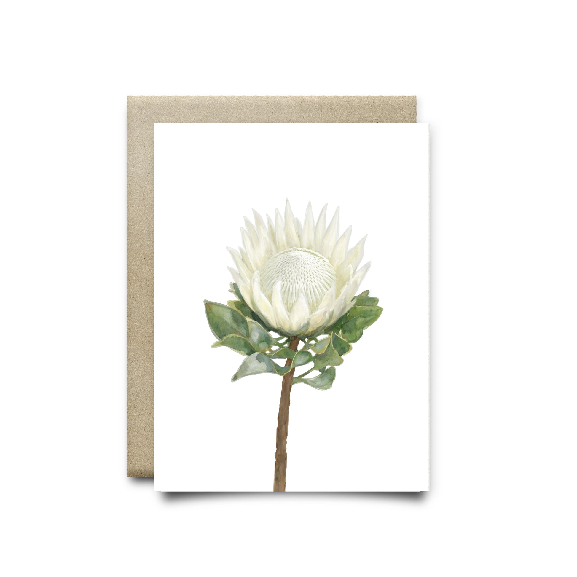 King Protea Greeting Card