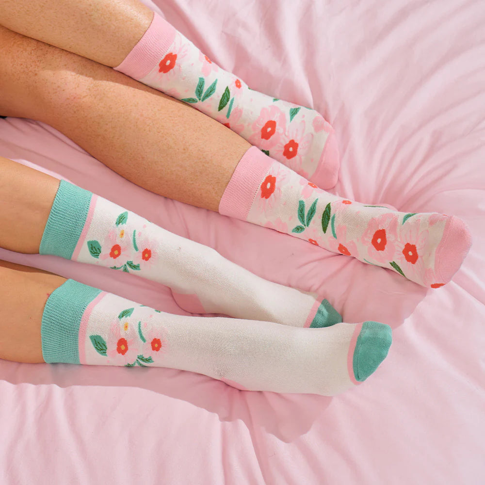 Boxed Socks 2 pack