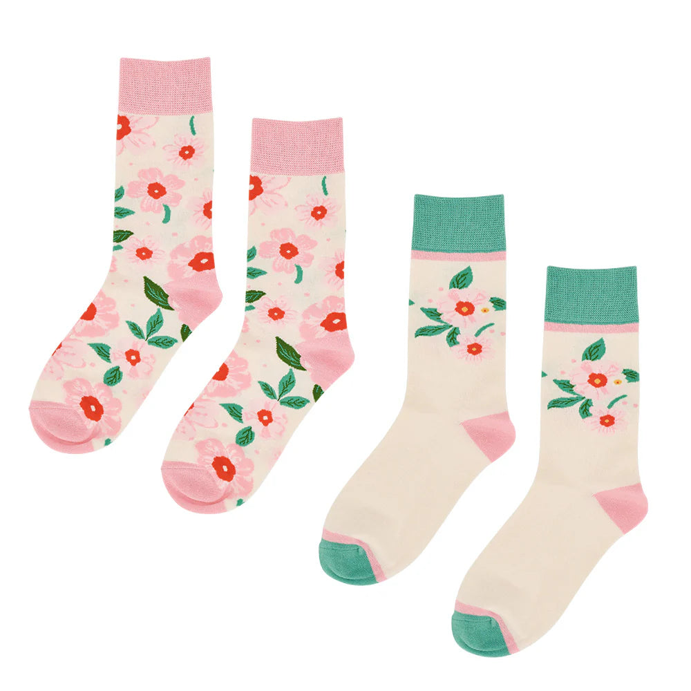 Boxed Socks 2 pack