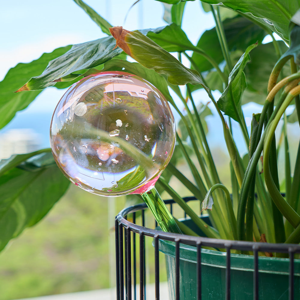 Plant Water Globes - Set of 2
